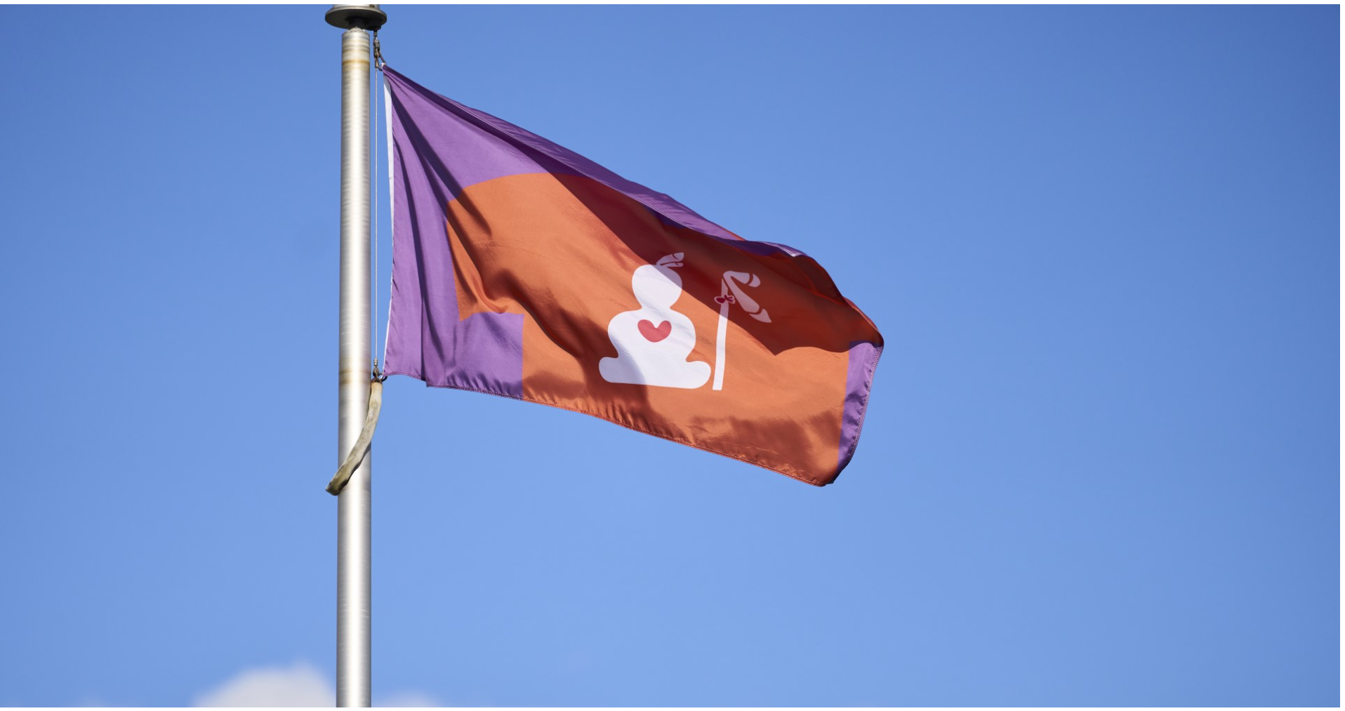 Truth and Reconciliation Flag